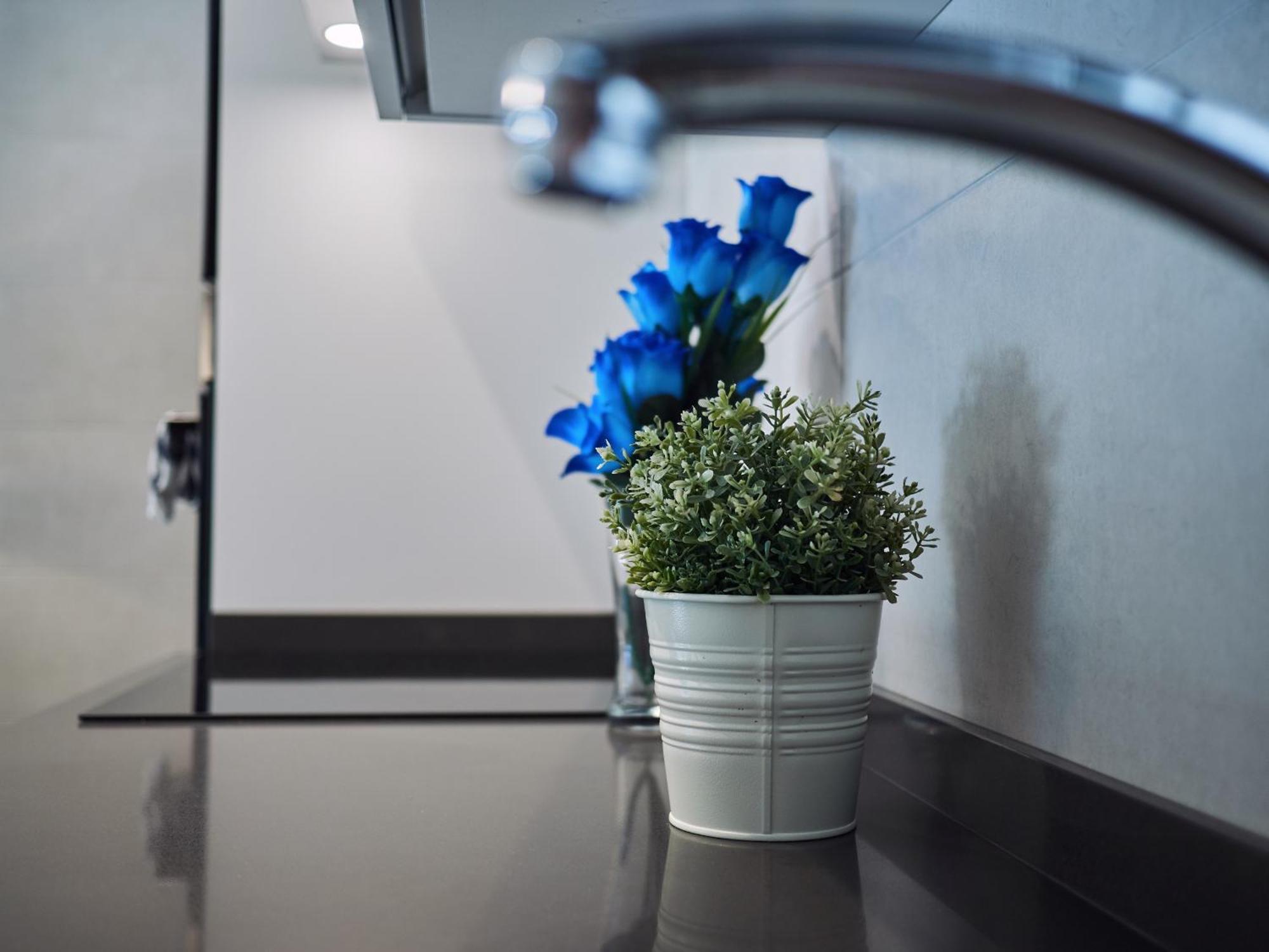 Amara Prime San Sebastian Apartman Kültér fotó
